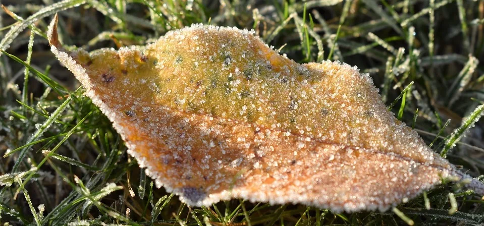 9 Reasons to Build in the Winter