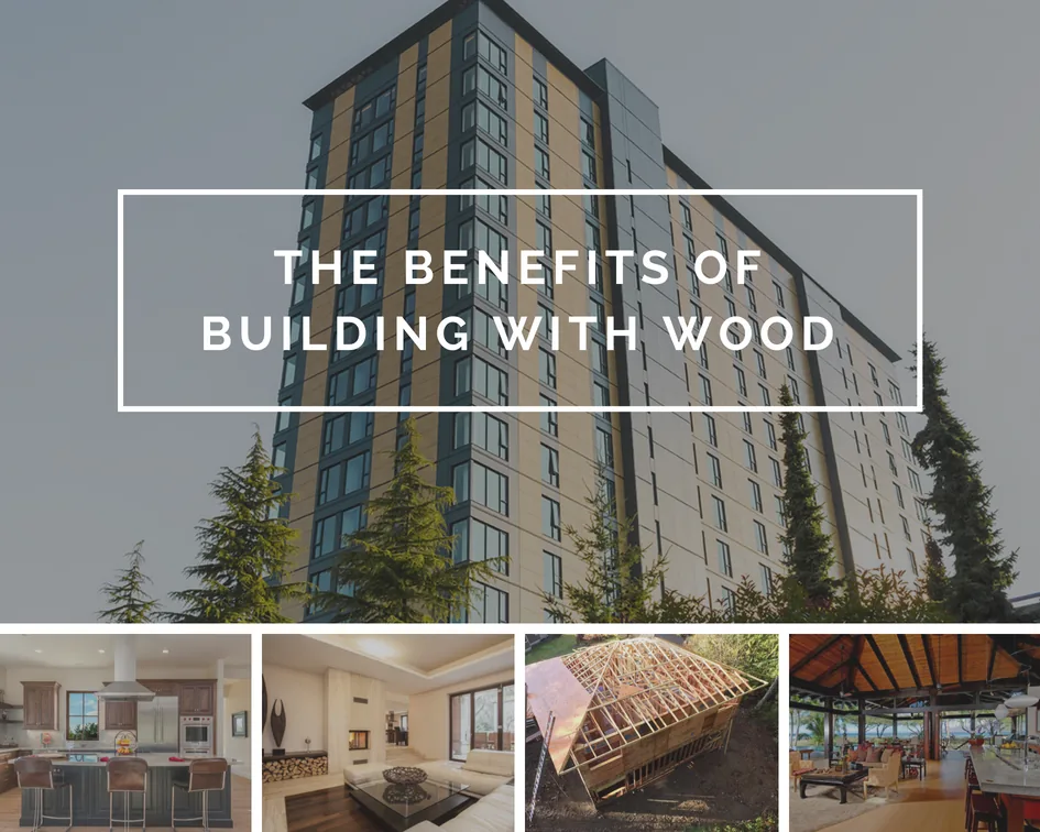The Benefits Of Building With Wood