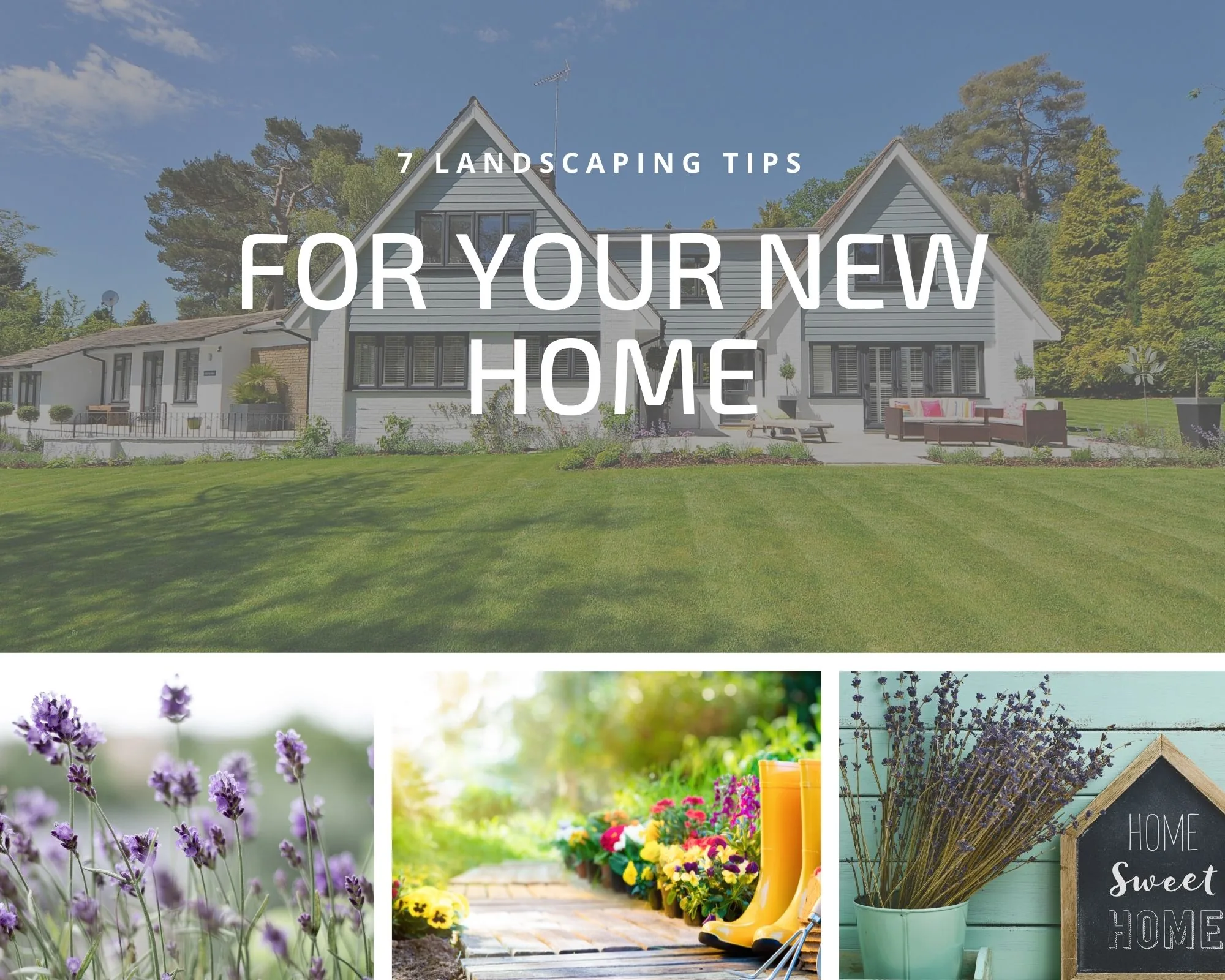 Landscaping Tips For Your New Home
