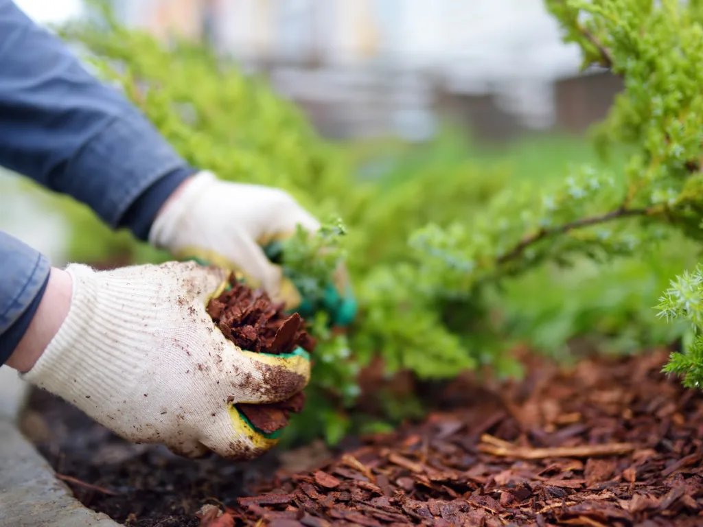 Landscaping with Bark Mulch