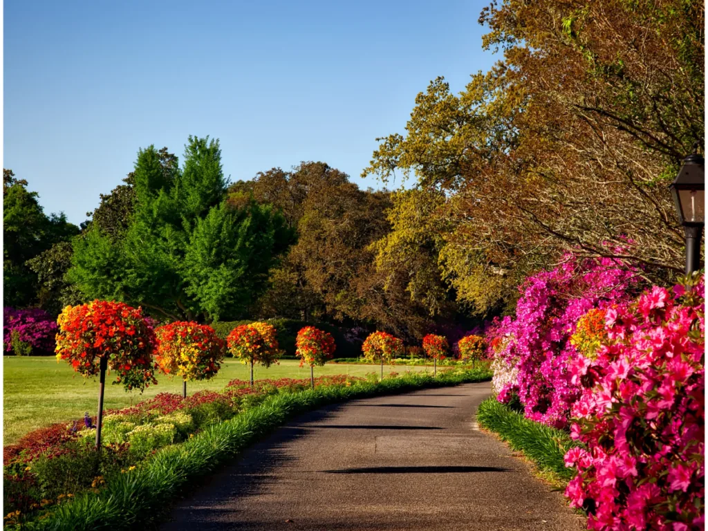 Colourful Gardening