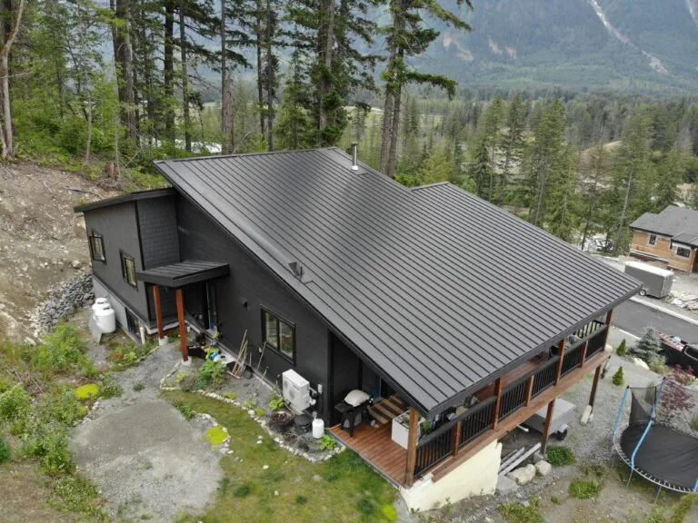 Modern black cabin with metal roof nestled in forested mountain landscape with wooden deck and valley views.
